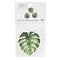 Back to Class Mini Die Cut Monstera Leaf Accents